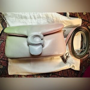 Coach ombre pillow tabby